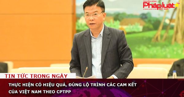 Thực hiện có hiệu quả, đúng lộ trình các cam kết của Việt Nam theo CPTPP