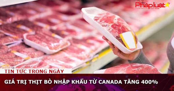 Giá trị thịt bò nhập khẩu từ Canada tăng 400%