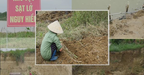 Tăng cường biện pháp bảo vệ đất sản xuất nông nghiệp của người dân dọc tuyến sông Chu là việc làm cần thiết