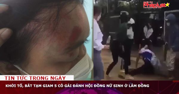 Khởi tố, bắt tạm giam 5 cô gái đánh hội đồng nữ sinh ở Lâm Đồng