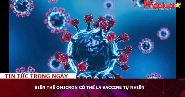 Biến thể Omicron có thể là vaccine tự nhiên