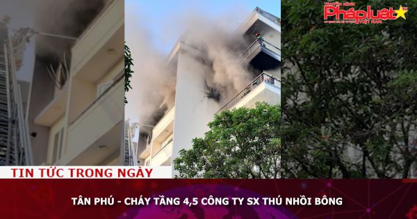 Tân Phú, TP HCM: - Cháy tầng 4,5 công ty SX thú nhồi bông