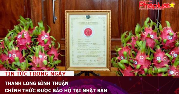 Thanh long Bình Thuận chính thức được bảo hộ tại Nhật Bản