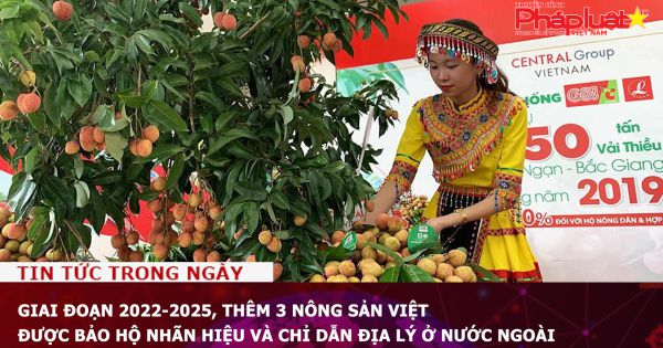 Giai đoạn 2022-2025, thêm 3 nông sản Việt được bảo hộ nhãn hiệu và chỉ dẫn địa lý ở nước ngoài