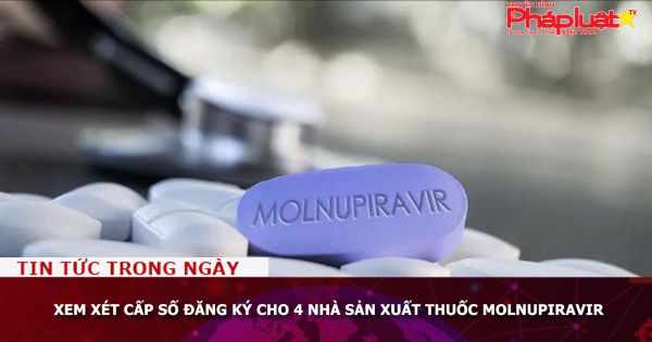 Xem xét cấp số đăng ký cho 4 nhà sản xuất thuốc Molnupiravir