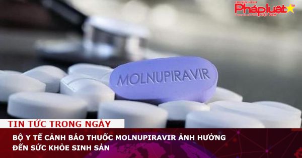 Bộ Y tế cảnh báo thuốc Molnupiravir ảnh hưởng đến sức khỏe sinh sản