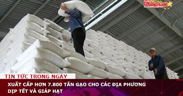 Xuất cấp hơn 7.800 tấn gạo cho các địa phương dịp Tết và giáp hạt