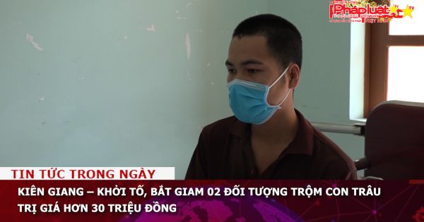 Kiên Giang – Khởi tố, bắt giam 02 đối tượng trộm con trâu trị giá hơn 30 triệu đồng