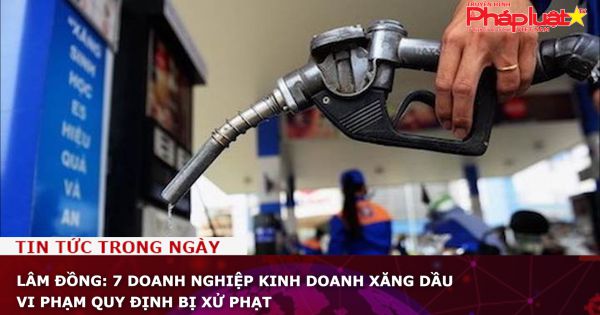 Lâm Đồng: 7 doanh nghiệp kinh doanh xăng dầu vi phạm quy định bị xử phạt