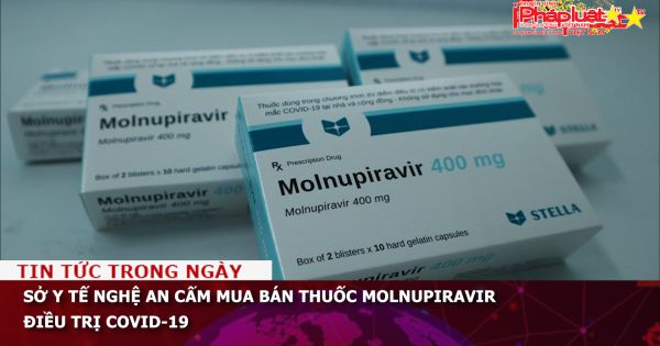 Sở Y tế Nghệ An cấm mua bán thuốc Molnupiravir điều trị COVID-19