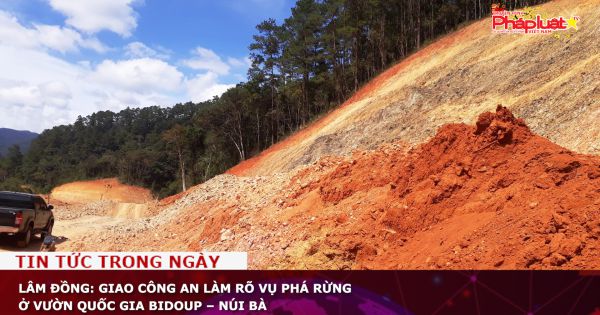 Lâm Đồng: Giao Công an làm rõ vụ phá rừng ở Vườn Quốc gia Bidoup – Núi Bà