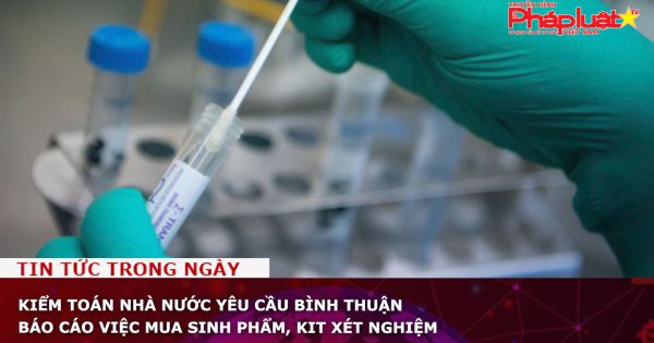 Kiểm toán Nhà nước yêu cầu Bình Thuận báo cáo việc mua sinh phẩm, kit xét nghiệm