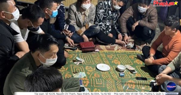 Bắt ổ nhóm đánh bạc tại trang trại ở Nghệ An