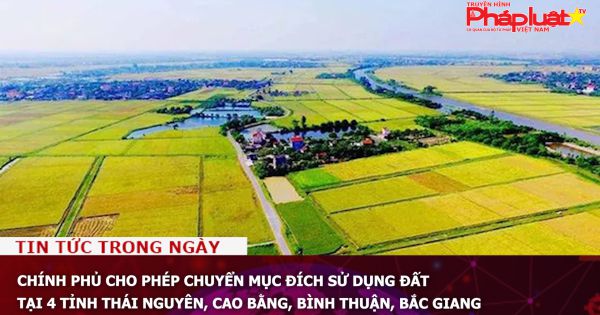 Chính phủ cho phép chuyển mục đích sử dụng đất tại 4 tỉnh Thái Nguyên, Cao Bằng, Bình Thuận, Bắc Giang