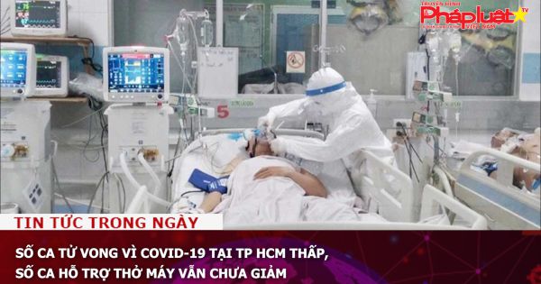 Số ca tử vong vì Covid-19 tại TP HCM thấp, số ca hỗ trợ thở máy vẫn chưa giảm