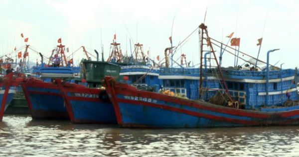 Quảng Ngãi kêu gọi gần 690 tàu vào nơi trú tránh an toàn
