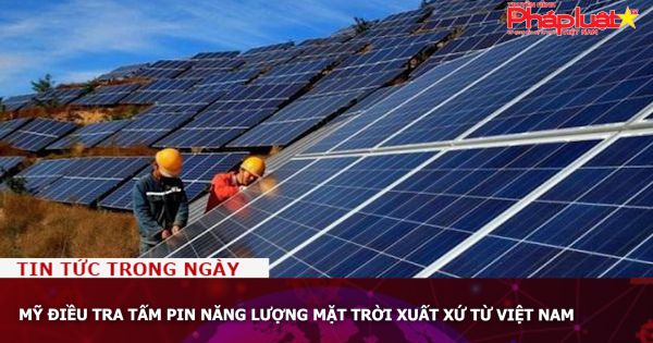 Mỹ điều tra tấm pin năng lượng mặt trời xuất xứ từ Việt Nam