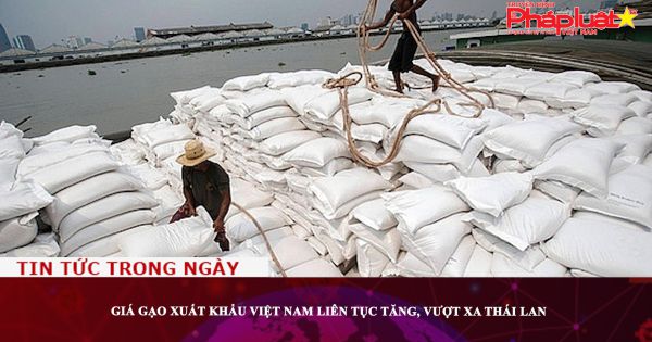Giá gạo xuất khẩu Việt Nam liên tục tăng, vượt xa Thái Lan