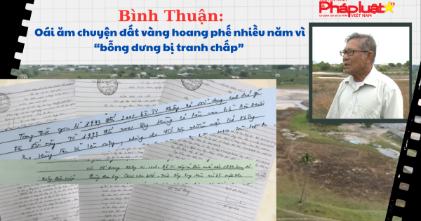 Bình Thuận: Oái ăm chuyện đất vàng hoang phế nhiều năm vì “bỗng dưng bị tranh chấp”