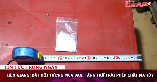 Tiền Giang: Bắt đối tượng mua bán, tàng trữ trái phép chất ma túy
