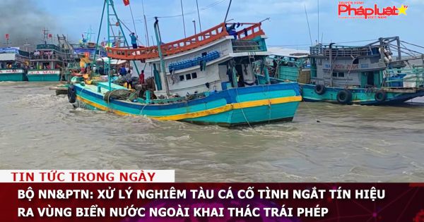 Bộ NN&PTN: Xử lý nghiêm tàu cá cố tình ngắt tín hiệu ra vùng biển nước ngoài khai thác trái phép