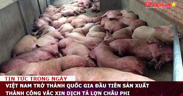 Việt Nam trở thành quốc gia đầu tiên sản xuất thành công vắc xin Dịch tả lợn châu Phi
