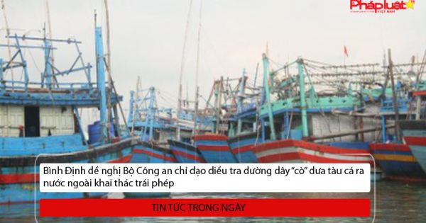 Bình Định đề nghị Bộ Công an chỉ đạo điều tra đường dây 'cò' đưa tàu cá ra nước ngoài khai thác trái phép