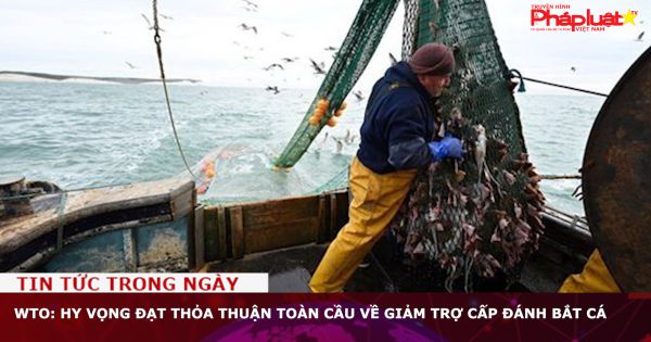 WTO: Hy vọng đạt thỏa thuận toàn cầu về giảm trợ cấp đánh bắt cá