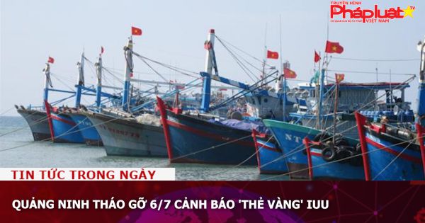 Quảng Ninh tháo gỡ 6/7 cảnh báo 'thẻ vàng' IUU