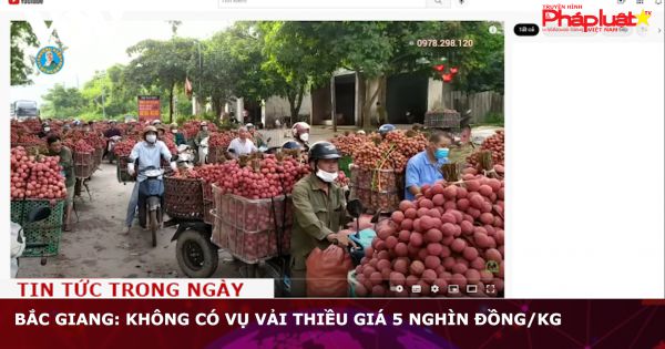 Bắc Giang: Không có vụ vải thiều giá 5 nghìn đồng/kg