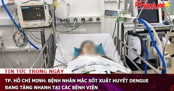TP. Hồ Chí Minh: Bệnh nhân mắc sốt xuất huyết Dengue đang tăng nhanh tại các bệnh viện