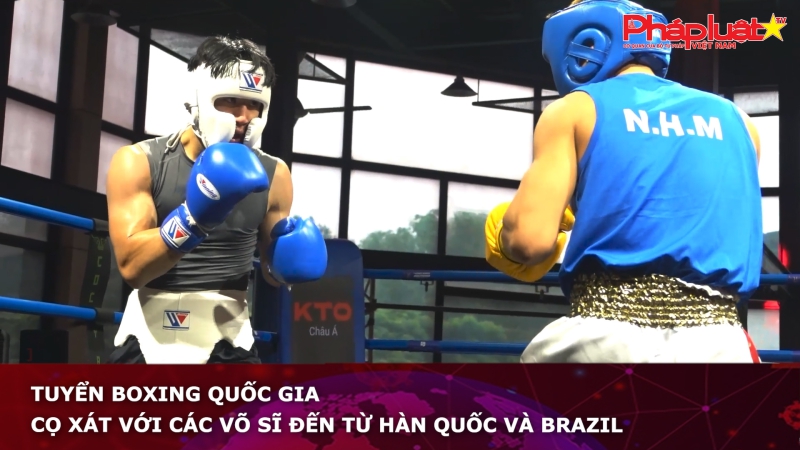 Tuyển boxing Quốc gia cọ xát với các võ sĩ đến từ Hàn Quốc và Brazil