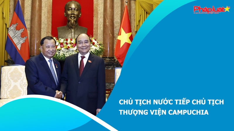 Chủ tịch nước tiếp Chủ tịch Thượng viện Campuchia