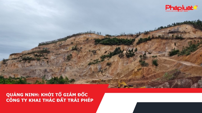Quảng Ninh: Khởi tố Giám đốc công ty khai thác đất trái phép