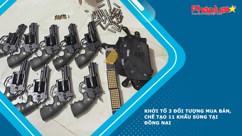 Khởi tố 3 đối tượng mua bán, chế tạo 11 khẩu súng tại Đồng Nai