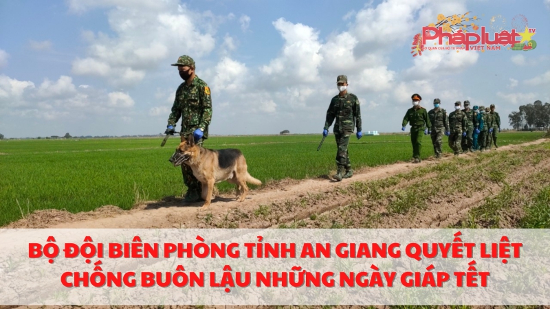 Bộ đội Biên phòng tỉnh An Giang quyết liệt chống buôn lậu những ngày giáp Tết