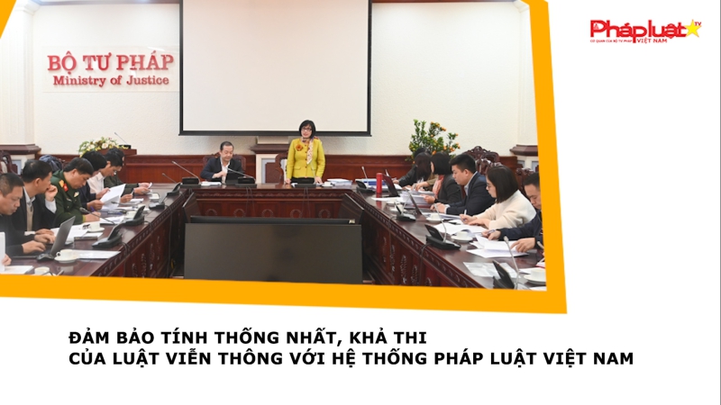 Đảm bảo tính thống nhất, khả thi của Luật Viễn thông với hệ thống pháp luật Việt Nam