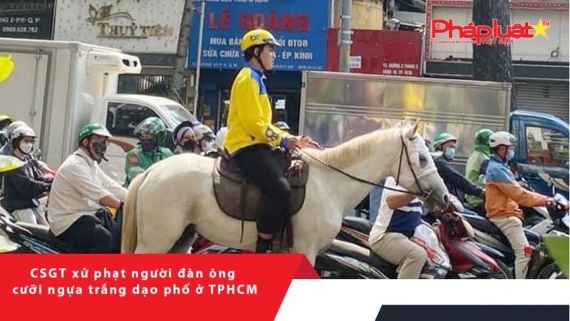 CSGT xử phạt người đàn ông cưỡi ngựa trắng dạo phố ở TPHCM