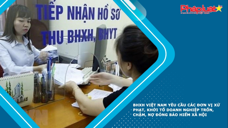 BHXH Việt Nam yêu cầu các đơn vị xử phạt, khởi tố doanh nghiệp trốn, chậm, nợ đóng bảo hiểm xã hội