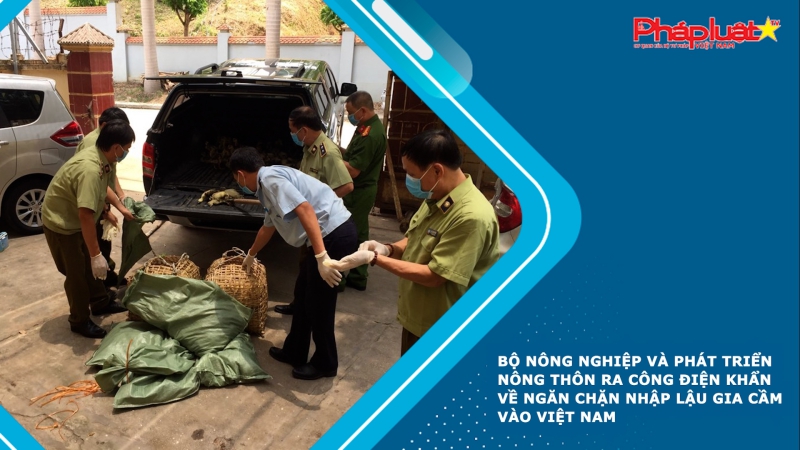 Bộ Nông nghiệp và Phát triển nông thôn ra công điện khẩn về ngăn chặn nhập lậu gia cầm vào Việt Nam