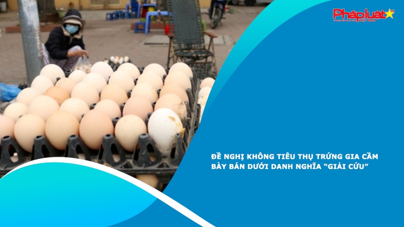 Đề nghị không tiêu thụ trứng gia cầm bày bán dưới danh nghĩa “giải cứu”