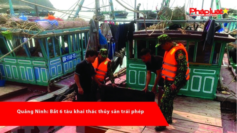 Quảng Ninh: Bắt 6 tàu khai thác thủy sản trái phép