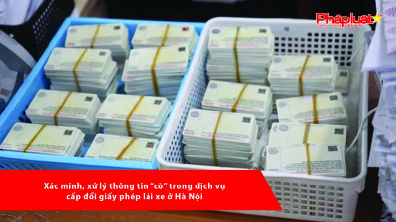 Xác minh, xử lý thông tin “cò” trong dịch vụ cấp đổi giấy phép lái xe ở Hà Nội