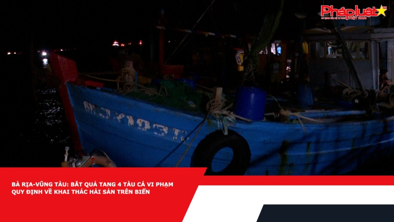 Bà Rịa-Vũng Tàu: Bắt quả tang 4 tàu cá vi phạm quy định về khai thác hải sản trên biển