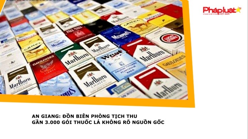 An Giang: Đồn Biên phòng tịch thu gần 3.000 gói thuốc lá không rõ nguồn gốc