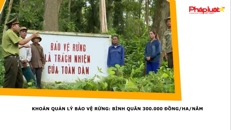 Khoán quản lý bảo vệ rừng: Bình quân 300.000 đồng/ha/năm