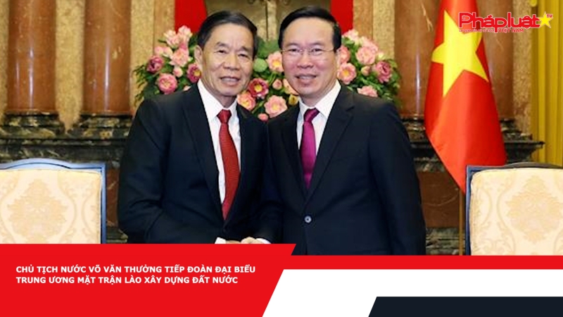 Chủ tịch nước Võ Văn Thưởng tiếp Đoàn đại biểu Trung ương Mặt trận Lào xây dựng đất nước
