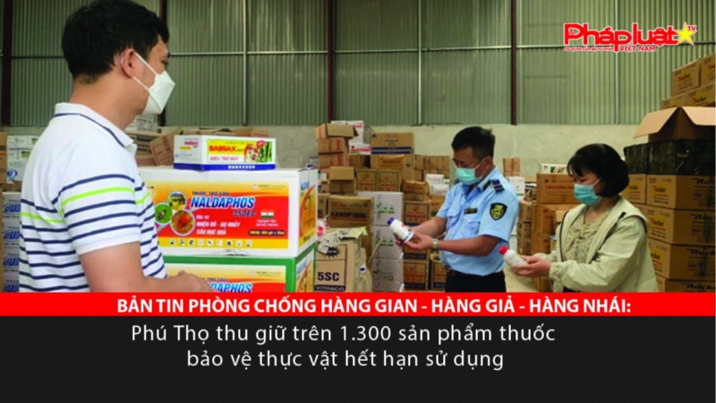 BẢN TIN PHÒNG CHỐNG HÀNG GIAN - HÀNG GIẢ - HÀNG NHÁI: Phú Thọ thu giữ trên 1.300 sản phẩm thuốc bảo vệ thực vật hết hạn sử dụng