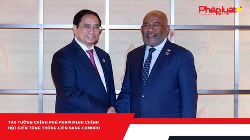 Thủ tướng Chính phủ Phạm Minh Chính hội kiến Tổng thống Liên bang Comoro