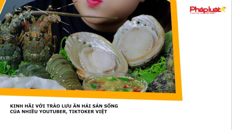 Kinh hãi với trào lưu ăn hải sản sống của nhiều YouTuber, Tiktoker Việt